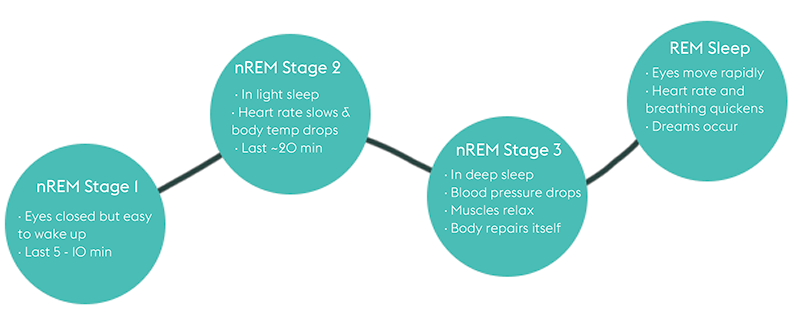 Cycles of Sleep